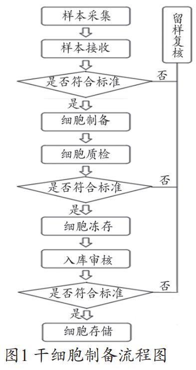 干細胞制備流程圖